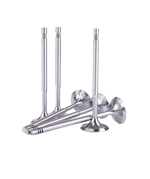 2.2.1_Light-Duty-Vehicles_Diesel-Exhaust-Valves