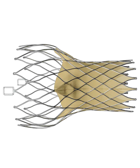 Structural Heart Applications