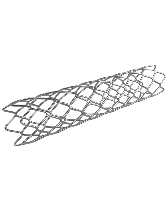 Vascular Stents