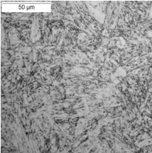 Custom465microstructure