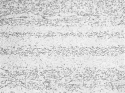 tech article med fig2a