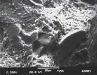 tech article med fig4