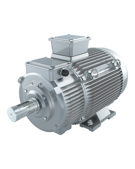 EV-traction-motor-isolated